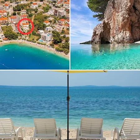 Sea Star Omis